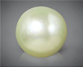 Pearl / Moti (South Sea) Certified 4.20 Cts ( 64037 )